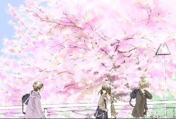 丝瓜官网电脑版